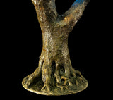 3'6 Cherry LED Tree (Color Shift Remote Control)