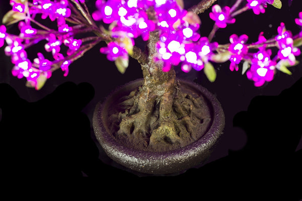 purple led bonsai tree LINDEN