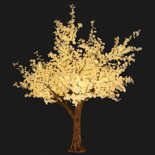 Bright Baum