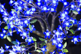 LINDEN - 2'4 Bonsai (Blue)