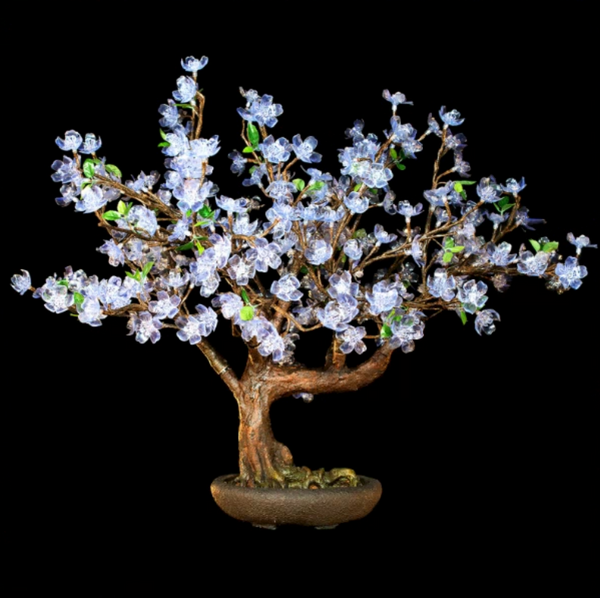 cherry blossom bonsai tree amazon Bright Baum