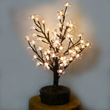 JUNO - 2' Bonsai (Warm White)