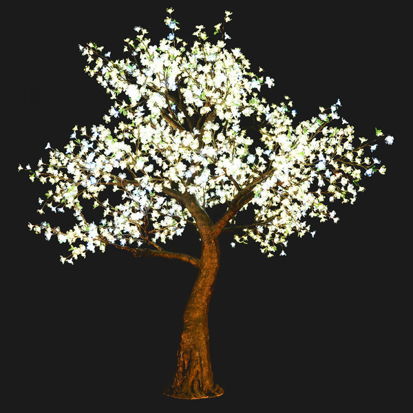 KENT - 9' Cherry Color Shift (continuous rotation)