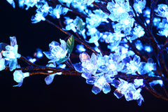 Replacement Service Of Cherry Leaves Clear QTY 30
