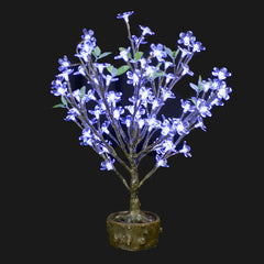 JUNO - 2' Bonsai (Cool White)- Battery