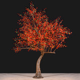 KENT - 9' Cherry (Red)
