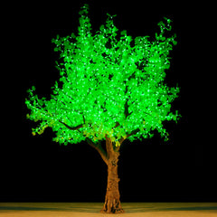 ELLIS - 11' Ginkgo (Green)