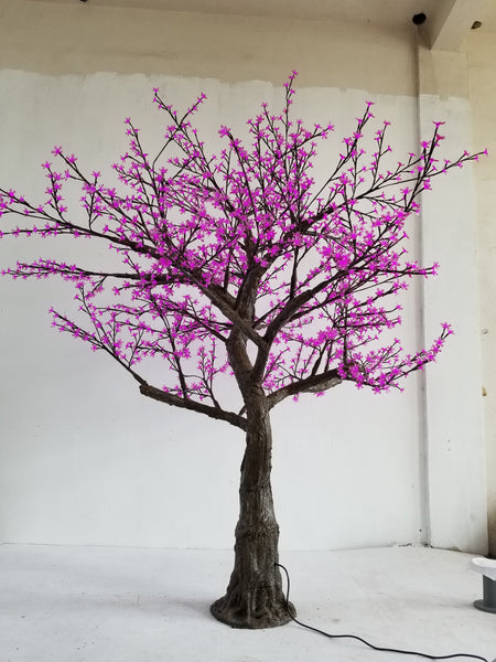 KENT - 9' Cherry (Purple)