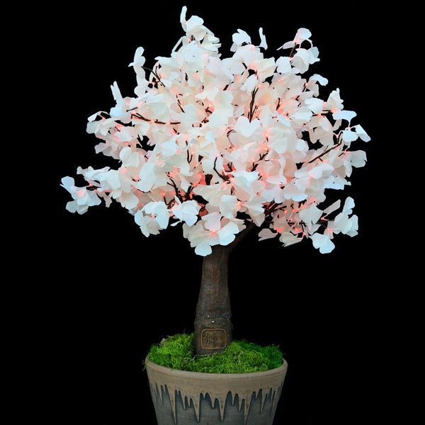 SMITH - 5'4 Ginkgo Color Shift (continuous rotation)