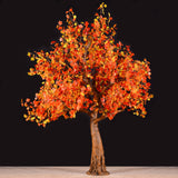 KENT - 9' Maple (Amber)