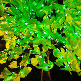 SMITH - 5'4 Ginkgo (Green)