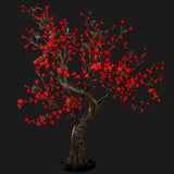TAYLOR - 4'8 Cherry (Red)