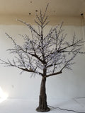KENT - 9' Cherry (Warm White)