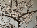 KENT - 9' Cherry (Warm White)