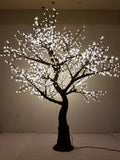 KENT - 9' Cherry (Warm White)
