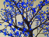 MORGAN - 7' Cherry (Blue)