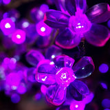 MORGAN - 7' Cherry (Purple)