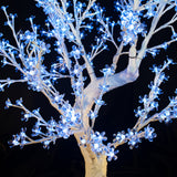 TAYLOR - 4'8 Cherry (White Branches) (Limited)