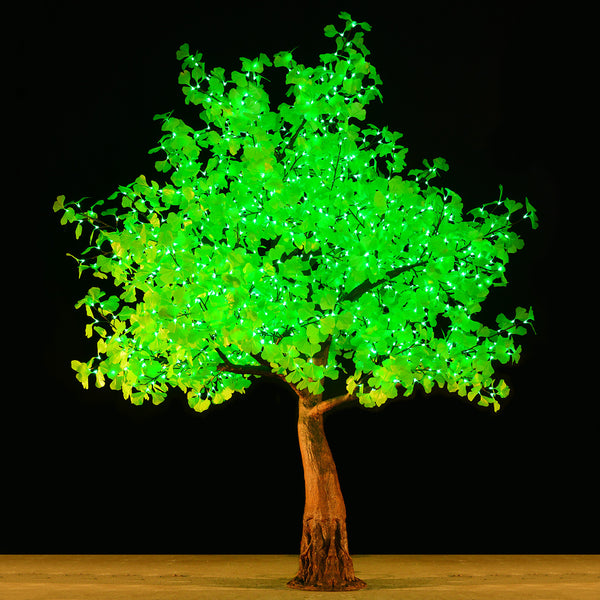KENT - 9' Ginkgo (Green)