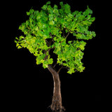 MORGAN - 7' Ginkgo (Green)