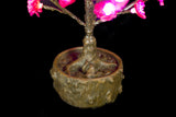 JUNO - 2' Bonsai (Pink)-Battery
