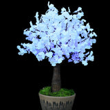 SMITH - 5'4 Ginkgo Color Shift (continuous rotation)
