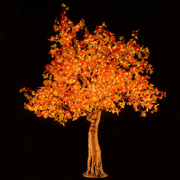 KENT - 9' Maple (Amber)