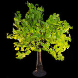 SMITH - 5'4 Ginkgo (Green)