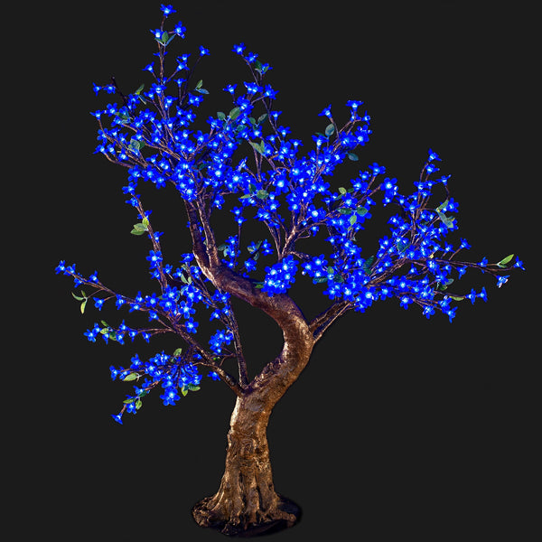 TAYLOR - 4'8 Cherry (Blue)