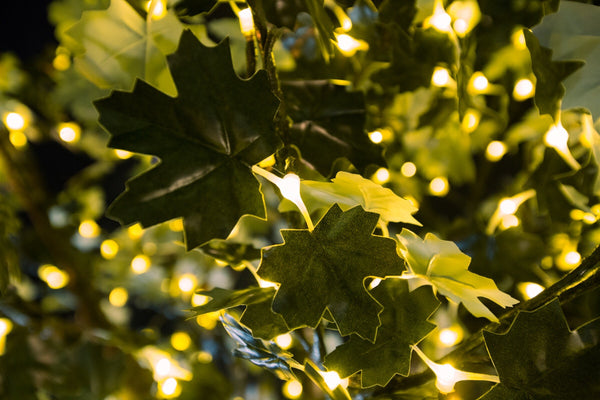 Bright Baum Inc. - 7 ft. Black Maple LED Tree
