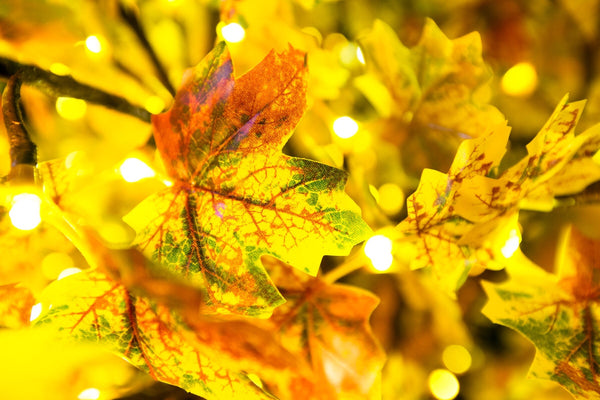 Bright Baum Inc. - 7 ft. Yellow Maple LED Tree
