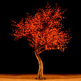 KENT - 9' Cherry (Red)