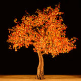 KENT - 9' Maple (Amber)