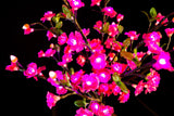 JUNO - 2' Bonsai (Pink)-Battery