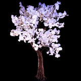 MORGAN - 7' Ginkgo (Warm White)