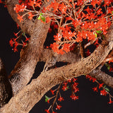 ELLIS - 11' Cherry (Red)