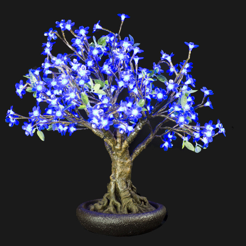 blue bonsai tree for sale Bright Baum Inc