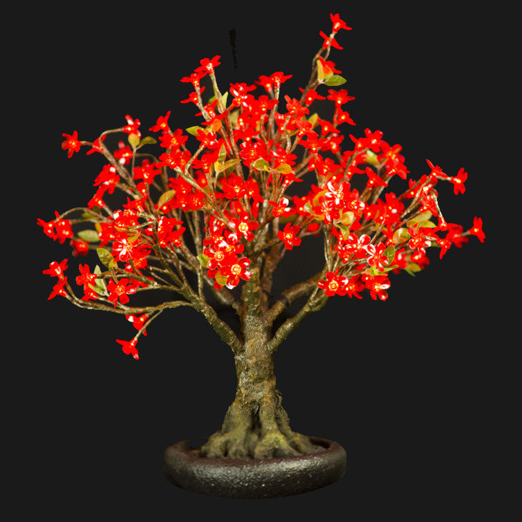 linden tree bonsai Bright Baum Inc