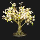 LINDEN - 2'4 Bonsai (Warm White)