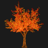 ELLIS - 11' Maple (Amber)