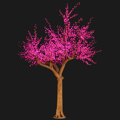 FANTASY - 13' Cherry (Purple)