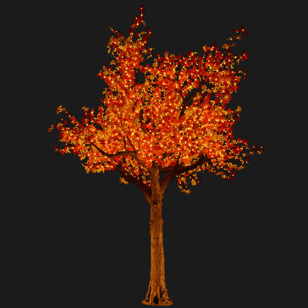 FANTASY - 13' Maple (Amber) Special order only