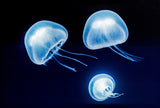 Pretty Valley Home - Jellyfish LED Painting