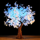 TAYLOR - 4'8 Ginkgo Color Shift (continuous rotation)