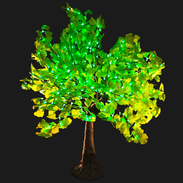 SMITH - 5'4 Ginkgo (Green)
