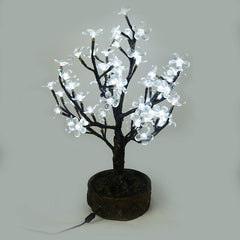 JUNO - 2' Bonsai (Cool White)