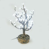 JUNO - 2' Bonsai (Cool White)