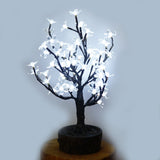 JUNO - 2' Bonsai (Cool White)