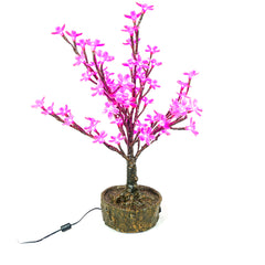 JUNO - 2' Bonsai (Pink)