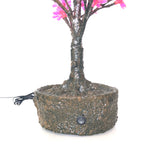 JUNO - 2' Bonsai (Pink)